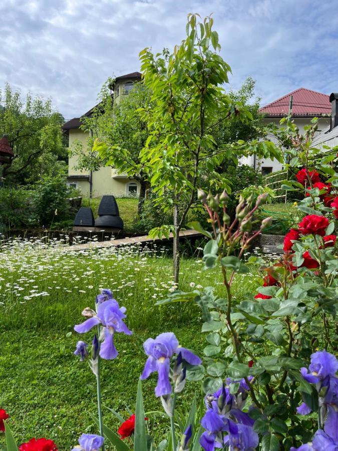 Riverside Villa Avo - Apartment Martin Нижняя Идрия Экстерьер фото